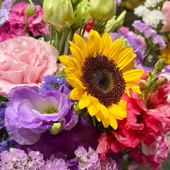 Meet your Posher, Krystal - Picture 4 of 8